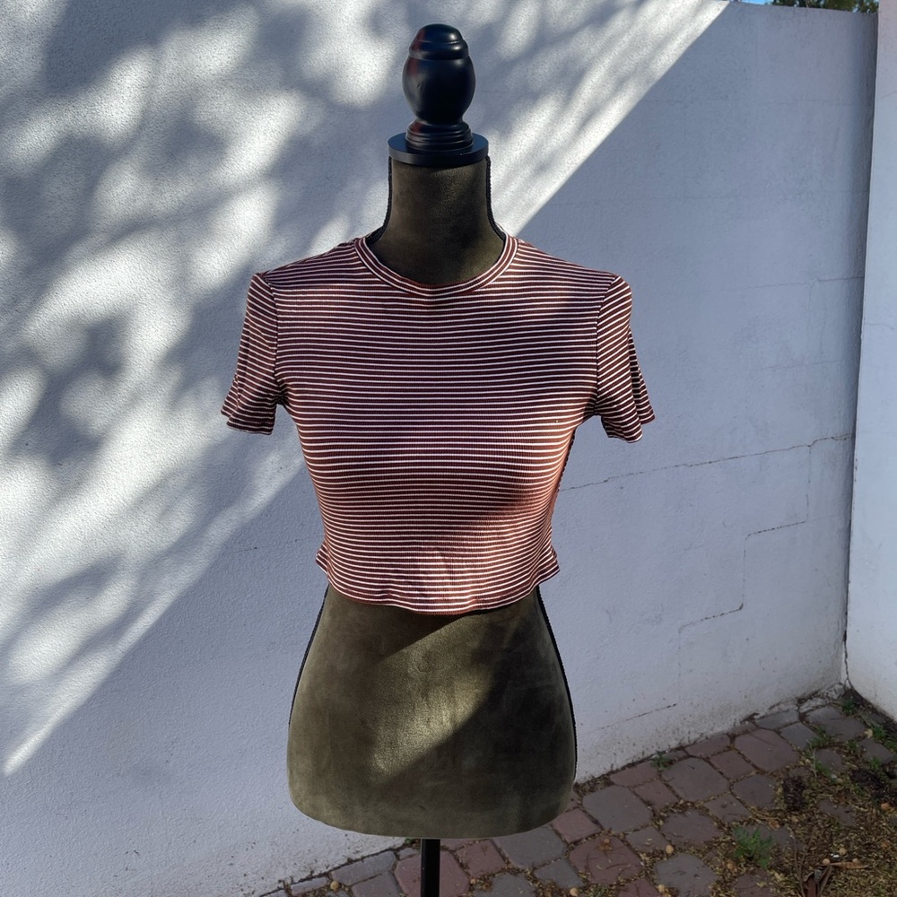 Striped Cropped Top
